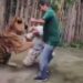 बाघ सेल्फी, इतनी मंहगी देखे वायरल VIDEO