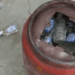 अब LPG सिलेंडर से हो रही है शराब तस्करी। एम्बुलेंस और घोड़े के बाद तस्करों ने अब सिलेंडर को भी बना लिया नया जुगाड़, देखकर आप भी पकड़ लेंगे माथा! VIDEO