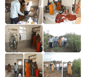 मसाला उत्पादक दीदियों को क्वालिटी कन्ट्रोल के लिए एक्सपोजर विजिट कराएं कलेक्टर सुश्री बाफना