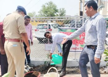 *विश्व पर्यावरण दिवस के अवसर पर कलेक्टर श्री जैन ने किया पौधारोपण*