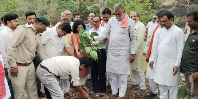 *नदियों के उदगमों को संरक्षित करें, इनमें होती है भरपूर ऊर्जा*   *पंचायत एवं ग्रामीण विकास मंत्री श्री पटेल ने अजनाल नदी के उद्गम स्थल पर पूजा अर्चना की और पौधे लगाए*