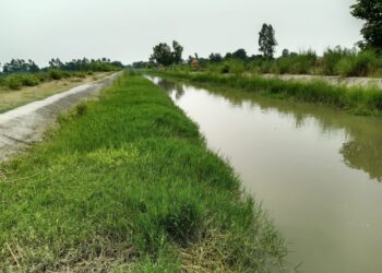 तिर्वा रजवाहा का आधा भाग से ज्यादा हुआ अवरोध किसानों के लिए पानी मिलाने में होगी परेशानी