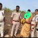 चाँदमारी के पास से गांजा तस्कर गिरफ्तार माधवनगर पुलिस की कार्यवाही ।