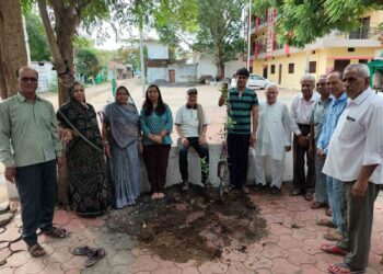 *एक पेड़ मां के नाम अभियान के तहत कर्मचारी कॉलोनी में वृक्षारोपण किया गया*