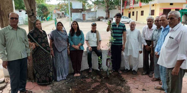 *एक पेड़ मां के नाम अभियान के तहत कर्मचारी कॉलोनी में वृक्षारोपण किया गया*
