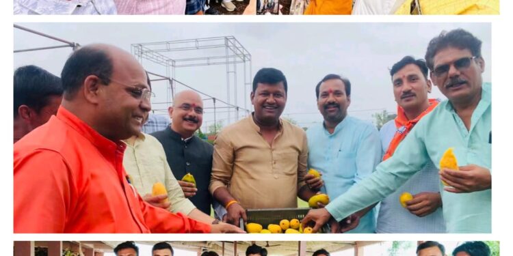 “बलिदान दिवस पर आम पार्टी का भव्य आयोजन” कालापीपल विधानसभा में डां श्यामा प्रसाद मुखर्जी का बलिदान दिवस मनाया…! बचपन की यादों की ताजा किया,आम पार्टी मना कर MLA विधायक घनश्याम चंद्रवंशी