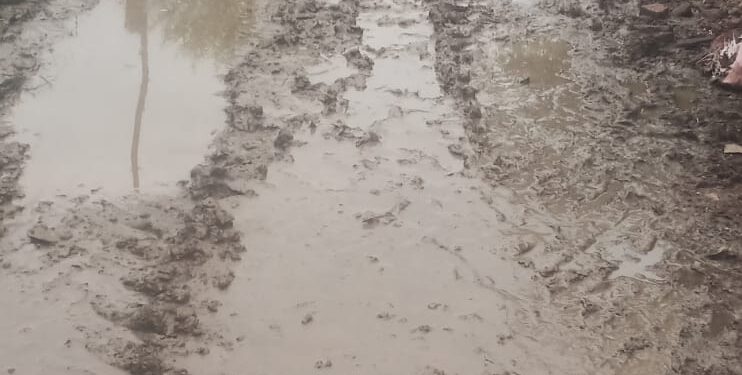 सिलौंडी सहकारी समिति से बसेहरा मार्ग में कीचड़ से किसान हो रहे परेशान