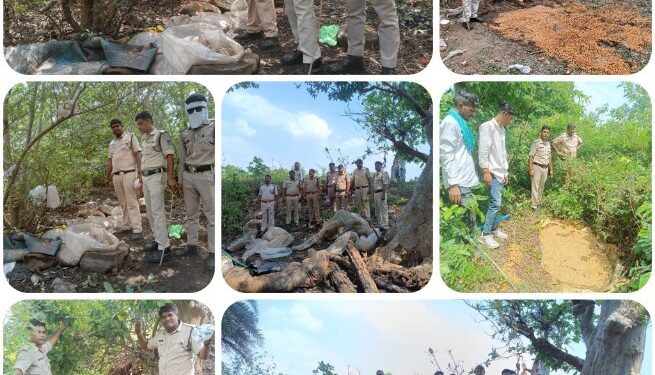 कलेक्टर अजय देव शर्मा के आदेशानुसार एवं जिला आबकारी अधिकारी अजीत इक्का के मार्गदर्शन में जिला पांढुरना के आबकारी एवं पुलिस बल के द्वारा संयुक्त
