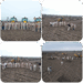 *वन विभाग ने 60 हेक्टेयर वन भूमि अतिक्रमण मुक्त करायी*
