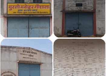 R T I,,से रीठी जनपद क्षेत्र मैं संचालित गौशाला मैं चारागाह की सच्चाई आई सामने,,,।