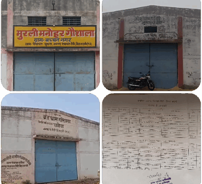 R T I,,से रीठी जनपद क्षेत्र मैं संचालित गौशाला मैं चारागाह की सच्चाई आई सामने,,,।