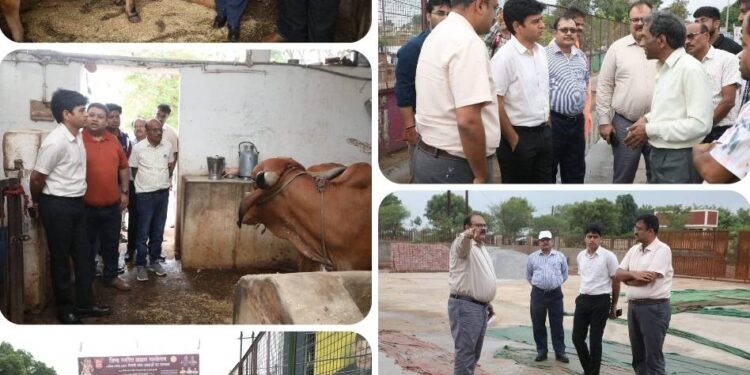 *कलेक्टर श्री यादव ने नगर निगम क्षेत्र के विकास एवं निर्माण कार्यों का किया औचक निरीक्षण* *निर्माणाधीन बस स्टैंड, मोहन घाट के वाटर बॉडी रेजुवनेशन कार्य सहित दयोदय गौशाला पहुंचे कलेक्टर*