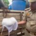 पनीर खाने वाले देख लो नक़ली पनीर कैसा होता है ,  नोएडा पुलिस ने 1600 किलो नकली पनीर, केमिकल जिससे पनीर बनाया जाता है