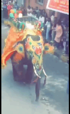 अहमदाबाद में जगन्नाथ रथयात्रा में हाथी बेकाबू हो गए.. हाथी बेकाबू होने से यात्रा में भगदड़ मच गई. यात्रा में कई हाथी थे