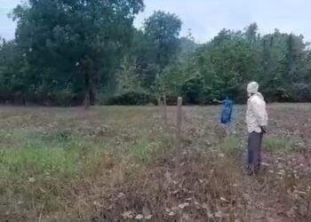 कूटरचित तरीके से सरकारी भूमि की कराई रजिस्ट्री,अब महिला की हड़पने लगा जमीन  महिला ने 15 सालों में बंजर जमीन को बनाया खेती लायक, करती थी जीवनयापन, उमरियापान के करौंदी का मामला,महिला ने अधिकारियों से किया शिकायत, कार्रवाई करने की मांग