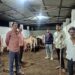 मवेशियों को खुला छोड़ रहे मालिक, पंचायत करा रही सुरक्षित व्यवस्था