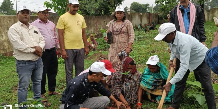 *बरही में नवांकुर सखी हरियाली यात्रा का किया गया आयोजन