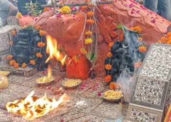उमरियापान में कल धूमधाम से मनाई जाएगी नागपंचमी, पर्व के उपलक्ष्य में बंद रहेंगे चौरसिया समाज के सभी प्रतिष्ठान