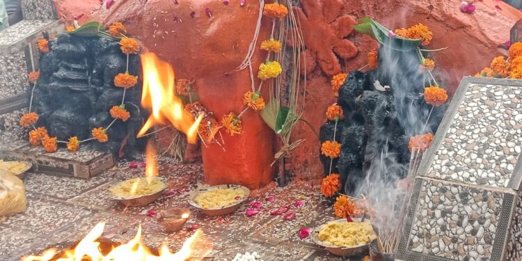 उमरियापान में कल धूमधाम से मनाई जाएगी नागपंचमी, पर्व के उपलक्ष्य में बंद रहेंगे चौरसिया समाज के सभी प्रतिष्ठान