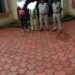 बहोरीबंद पुलिस ने एक साल से गुमशुदा नाबालिग बालिका को नरसिंहपुर से दस्तयाब कर परिजनो को किया सुपुर्द ।