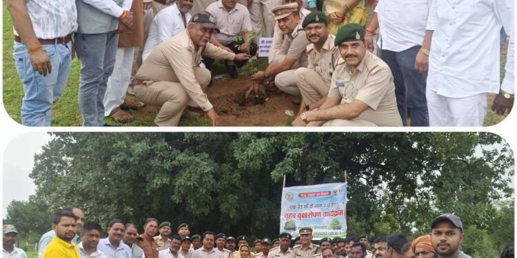 विधायक ने खुद लगाया पौधा कहा – आप भी करें पौधारोपण