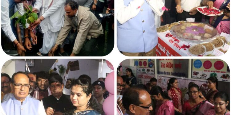 केंद्रीय मंत्री चौहान ने आंचल कक्ष ब्रेस्ट फ्रीडिंग कॉर्नर का शुभारंभ किया कलेक्ट्रेट में महिलाओं के लिए ब्रेस्ट फ्रीडिंग कॉर्नर प्रारंभ