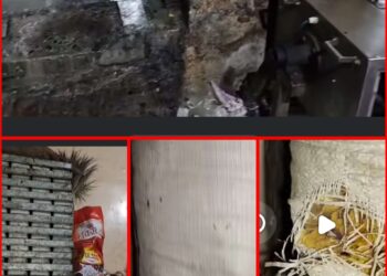 गंदगी के बीच नमकीन और मिठाई बनते पाये जाने पर न्यू दुर्गा सेव भंडार से खाद्य पदार्थो का निर्माण प्रतिबन्धित.VIDEO