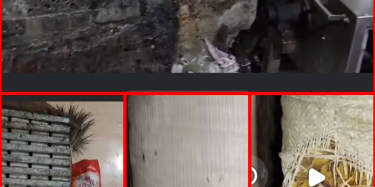 गंदगी के बीच नमकीन और मिठाई बनते पाये जाने पर न्यू दुर्गा सेव भंडार से खाद्य पदार्थो का निर्माण प्रतिबन्धित.VIDEO