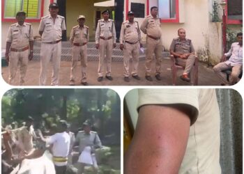 बिहरिया बीट में अतिक्रमणकारियों का कहर, वन विभाग के कर्मचारियों पर हमला, 20 एकड़ में फैलाया कब्जा