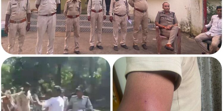 बिहरिया बीट में अतिक्रमणकारियों का कहर, वन विभाग के कर्मचारियों पर हमला, 20 एकड़ में फैलाया कब्जा