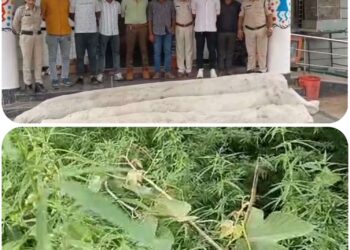*नरसिंहपुर स्टेशन पुलिस थाना को मिली बड़ी सफलता अवैध मादक पदार्थ के विरुद्ध नरसिंहपुर पुलिस ने की बड़ी कार्यवाही*