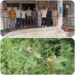 *नरसिंहपुर स्टेशन पुलिस थाना को मिली बड़ी सफलता अवैध मादक पदार्थ के विरुद्ध नरसिंहपुर पुलिस ने की बड़ी कार्यवाही*