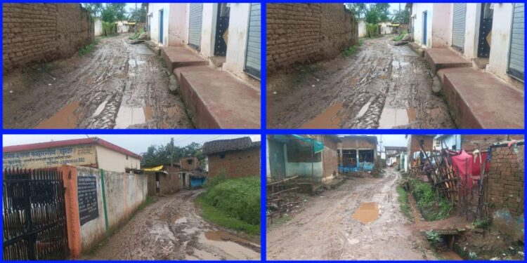 ग्राम पंचायत छोटा कछारगांव में पीएचई विभाग की लापरवाही से ग्रामीणों की मुसीबतें