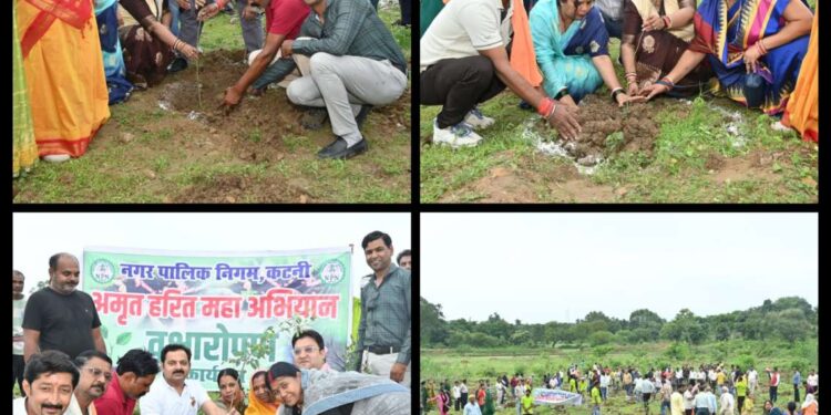 *अमृत- हरित महाअभियान अंतर्गत प्रधानमंत्री आवास योजना बस्ती बनी वृहद वृक्षारोपण की साक्षी* *महापौर, निगमाध्यक्ष, जनप्रतिनिधि, निगमायुक्त सहित स्वच्छता मित्रों एवं पर्यावरण प्रेमियों की मौजूदगी में रोपे गए एक हजार से अधिक पौधे*