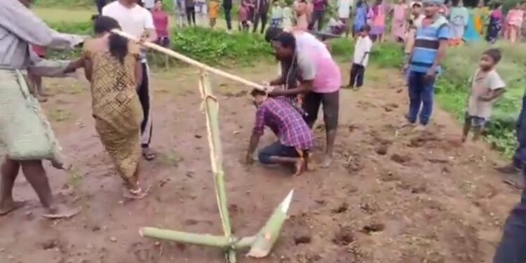 प्रेम प्रसंग के कारण समाज के लोगों ने दोनों को हल में बांध कर खेत जोतवाया है और कोड़े मारे जा रहें है ।