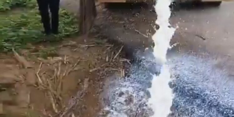 5 हजार लीटर मिलावटी दूध को सड़क पर किया नष्ट  खाद्य विभाग की टीम ने टैंकर को रोक कर दूध को किया नष्ट देखिए VIDEO