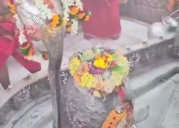 आज नाग पंचमी पर उज्जैन के राजा श्री महाकालेश्वर ज्योतिर्लिंग ने धारण किये रजत वासुकी, एवं प्रातः दिव्य अलौकिक आरती दर्शन।