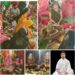 पार्थिव शिवलिंग निर्माण कर किया रुद्राभिषेक, उमड़ा आस्था का सैलाब