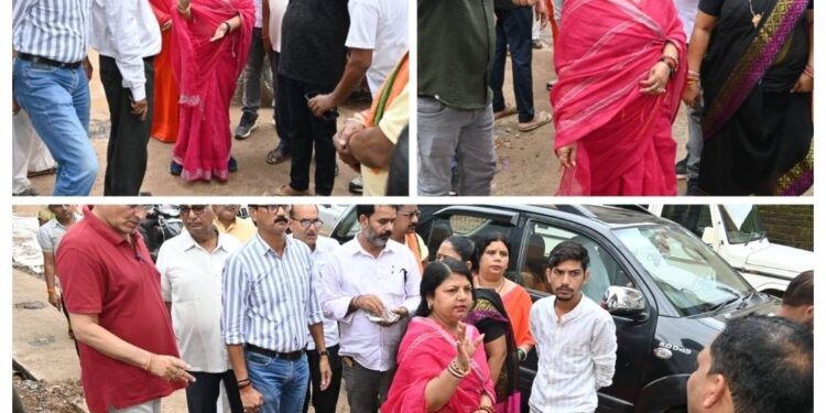 *नागरिकों की समस्याओं का प्राथमिकता से करे निराकरण – महापौर*
