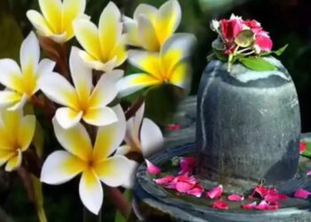 नागकेसर का फूल,सावन में शिव को चढ़ाएं