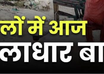 MP आज भी 18 जिलों के लिए IMD ने जारी किया अलर्ट
