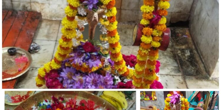 प्राचीन नागेश्वर मंदिर में श्रावण मास में प्रतिदिन भोलेनाथ का होता है अभिषेक,40 वर्षों से लगातार समिति द्वारा हो रहा महादेव का अभिषेक ….