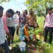 एक पेड़ माँ के नाम अभियान तहत साध्वी जनकल्याण समिति द्वारा डाइट कॉलेज में किया गया वृक्षारोपण कार्यक्रम