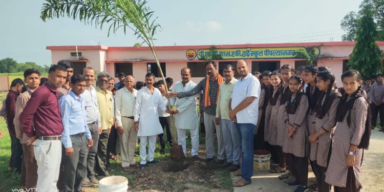पीएम शासकीय एकीकृत हाई स्कूल पिपलिया नगर में वृक्षारोपण कार्यक्रम आयोजित पर्यावरण संरक्षण का संदेश….!
