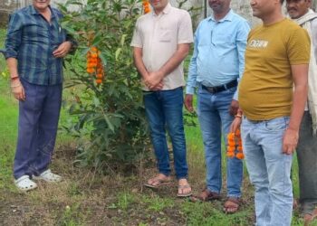 पेड़ो को राखी बांधकर रक्षाबंधन मनाया