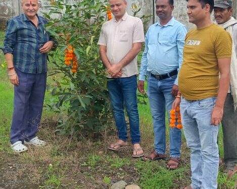 पेड़ो को राखी बांधकर रक्षाबंधन मनाया