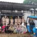 निवार पुलिस की बड़ी कारवाही 33 K.B.बिजली तार चोर गिरोह को धरदबोचा 05 आरोपियों के कब्जे से 07 बंडल 33 K.B. एल्युमीनियम बिजली के तार एवं चोरी मे प्रयुक्त एक ई रिक्शा आटो ,एक मोटर सायकिल कुल 06 लाख 50 हजार रू.की बरामदगी*