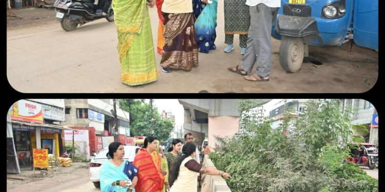 *बरगवां ओवरब्रिज के नीचे रिक्त स्थलों पर सुंदरता की दृष्टि से फूलदार पौधे का रोपण करने महापौर ने दिए निर्देश*