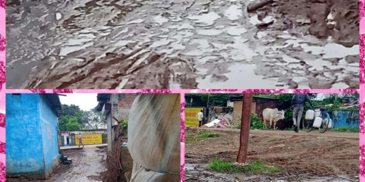 *बड़गाव मे पनप रही गंदगी जिम्मेदार मोन गरीबो को बीमारियों से बचाए कौन*