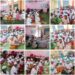 ग्राम बसाडी मैं जैविक सब्जी उत्पादन एवं नर्सरी प्रबंधन का प्रशिक्षण आयोजित।